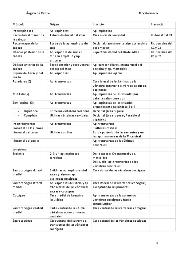 Miniatura del documento Cuadro-completo-de-todos-los-musculos-.pdf