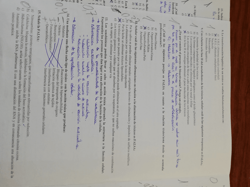 Miniatura del documento IMG20190123121503.jpg