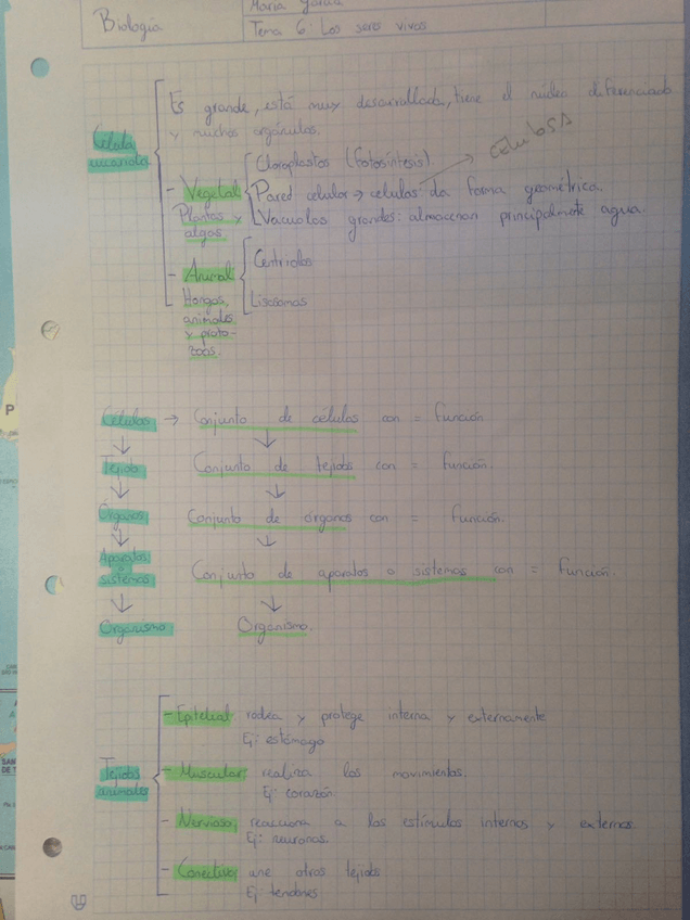 Miniatura del documento 6E5CE3C5-881E-473C-B313-094A775EDAEB.jpg
