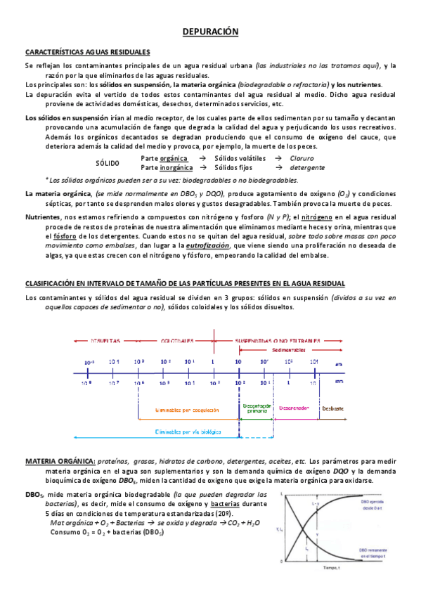 Miniatura del documento APUNTES - Segundo parcial.pdf