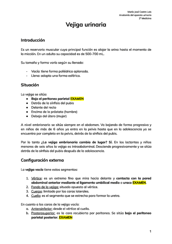 Miniatura del documento vejiga-apuntes.pdf