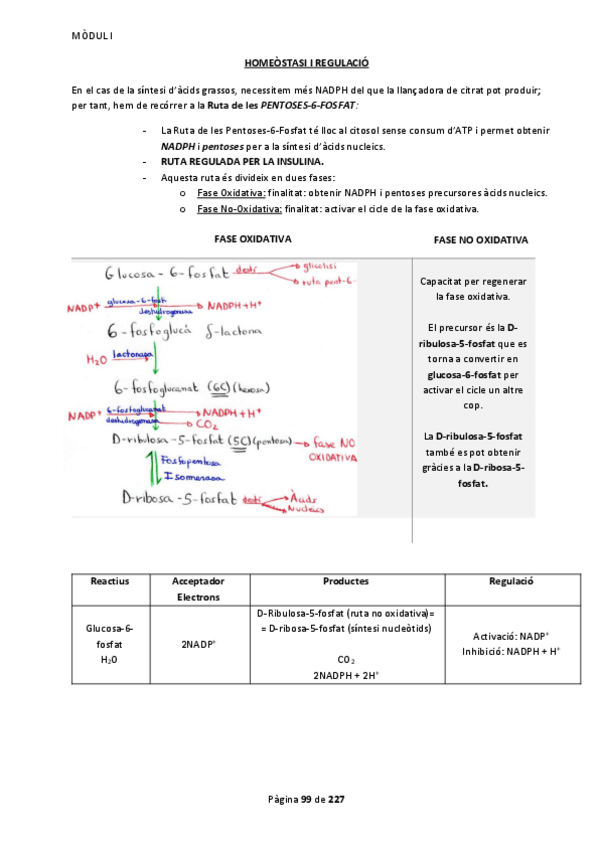 Miniatura del documento Apunts Mòdul 1 Part 3.pdf
