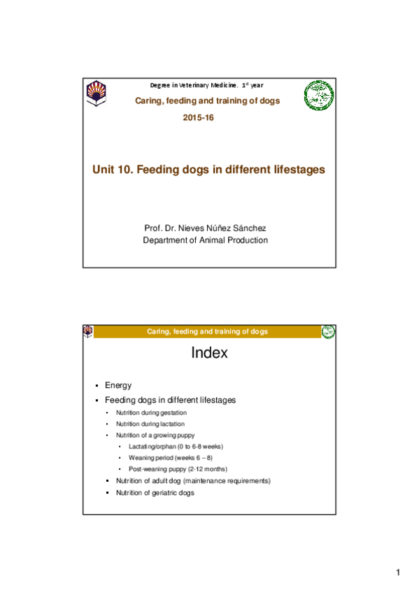 Miniatura del documento Unit 10. Feeding dogs in different lifestages.pdf