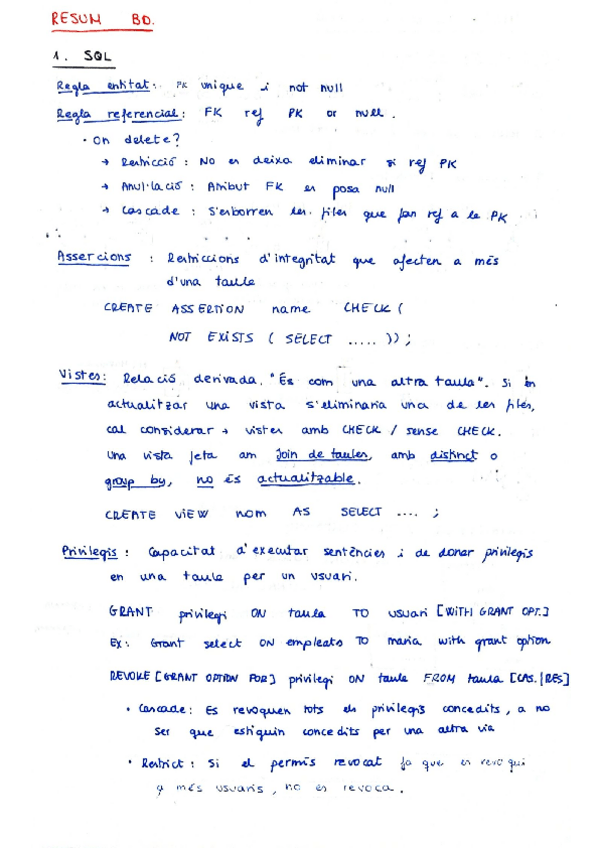 Miniatura del documento BD-RESUM-FINAL.pdf