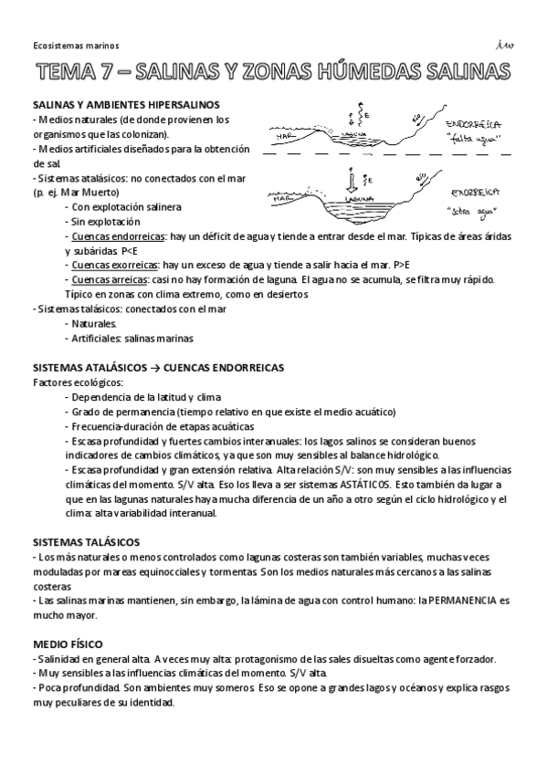 Miniatura del documento EMtema7Salinas.pdf