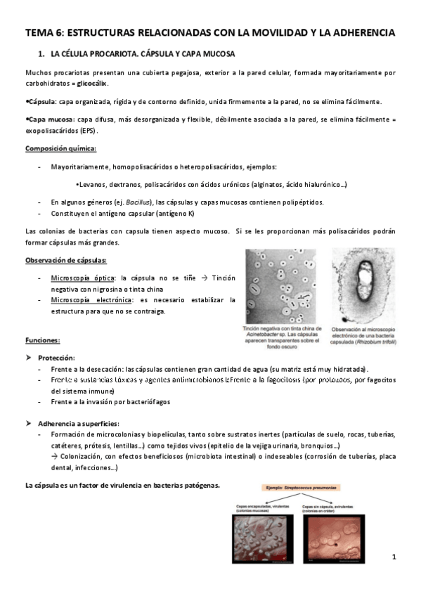 Miniatura del documento TEMA-6.pdf