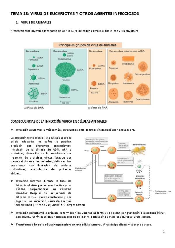 Miniatura del documento TEMA-18.pdf