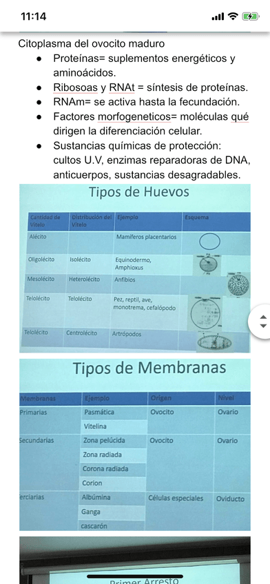 Miniatura del documento 5EE7A9F8-B983-47D8-86DF-AA98A124EA60.png
