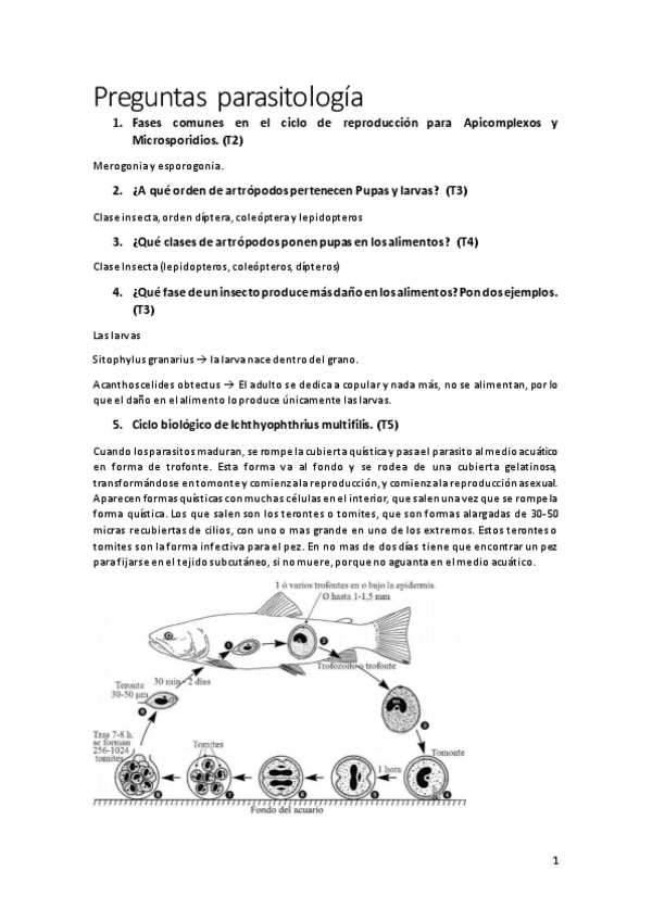 Miniatura del documento PARASITOLOGIA-APRUEBA-SEGURO.pdf