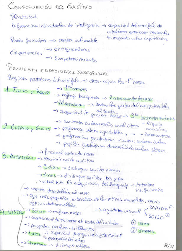 Miniatura del documento Psicologia-del-desarrolo-de-0-a-6-anos015.jpg