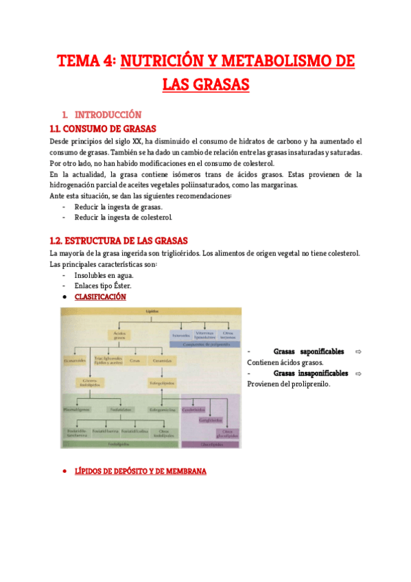 Miniatura del documento Tema-4.pdf