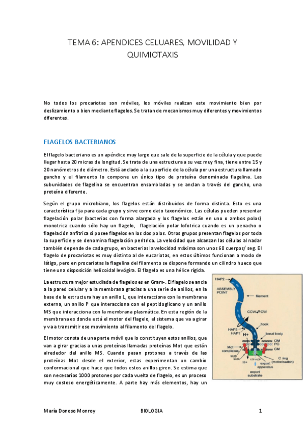 Miniatura del documento MICRO-I-T.pdf