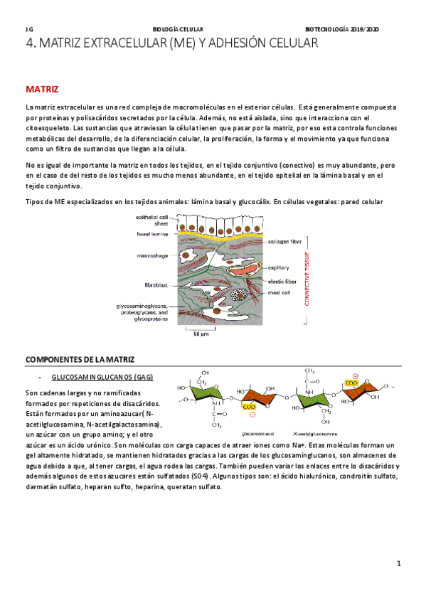 Miniatura del documento 4.pdf