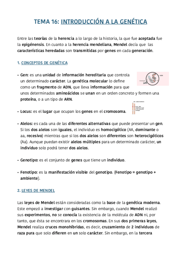Miniatura del documento TEMA-16.pdf