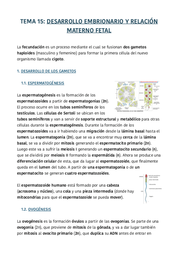 Miniatura del documento TEMA-15.pdf