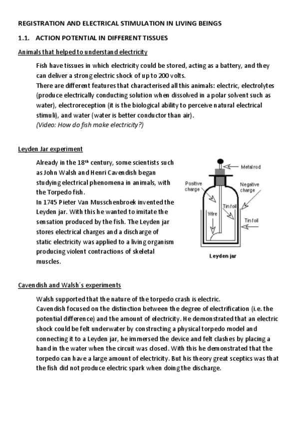 Miniatura del documento History-part-2-1.pdf