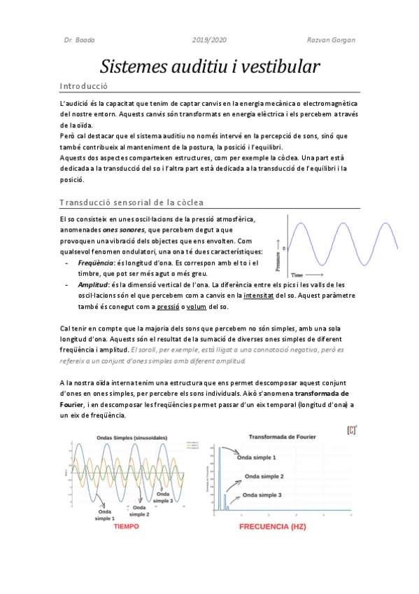 Miniatura del documento Sistemes-auditiu-i-vestibular.pdf