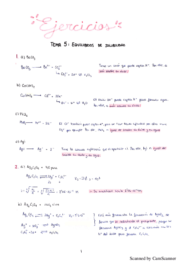 Miniatura del documento Ejercicios-solubilidad.pdf