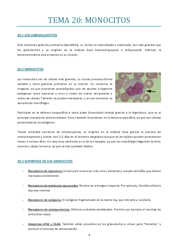 Miniatura del documento TEMA-20.pdf