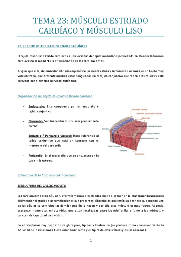 Miniatura del documento TEMA-23.pdf