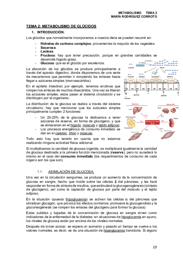 Miniatura del documento TEMA-2.pdf
