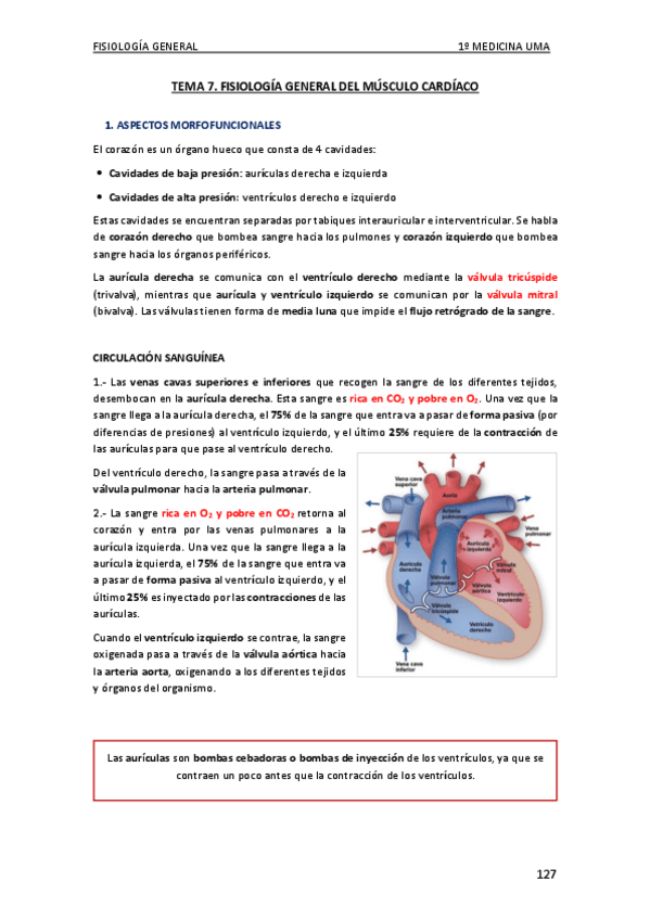 Miniatura del documento FISIOLOGIA-TEMA-7-Y-8.pdf