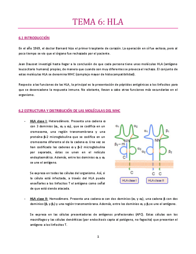 Miniatura del documento TEMA-6-Inmuno.pdf