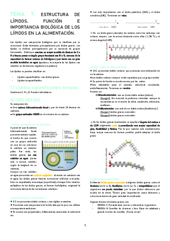 Miniatura del documento TEMA-7.pdf