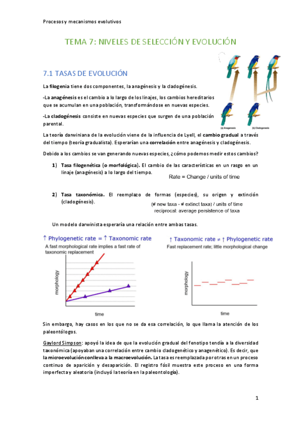Miniatura del documento Tema-7-Niveles-de-Seleccion-y-Evolucion.pdf
