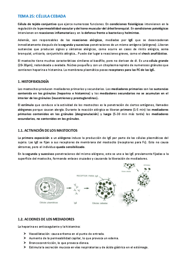Miniatura del documento TEMA-HISTOLOGIA-129-130.pdf