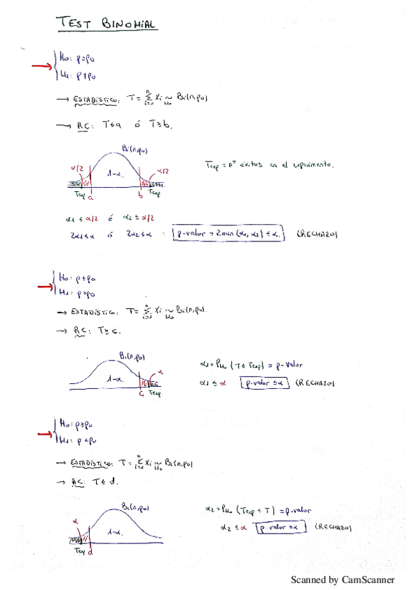 Miniatura del documento ResumenNP.pdf