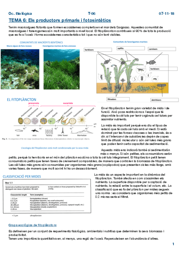 Miniatura del documento Oc.pdf