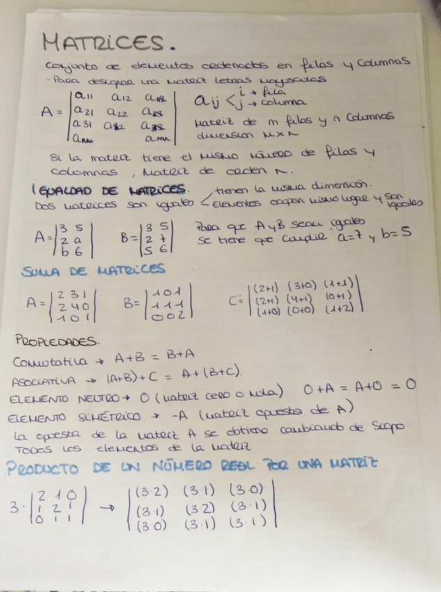 Miniatura del documento MATRICES PAG1.jpg