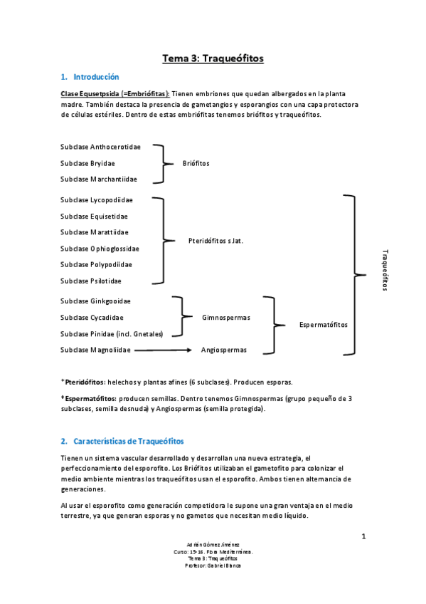 Miniatura del documento Tema 3 - Traqueófitos.pdf