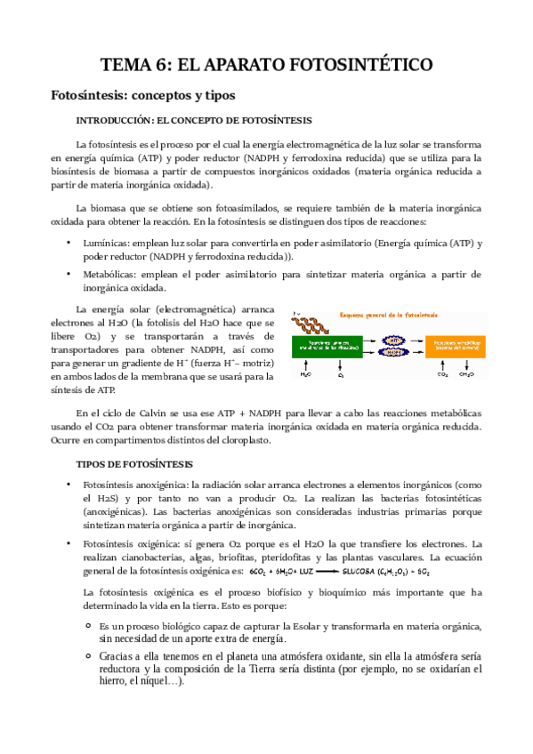 Miniatura del documento TEMA-6.pdf
