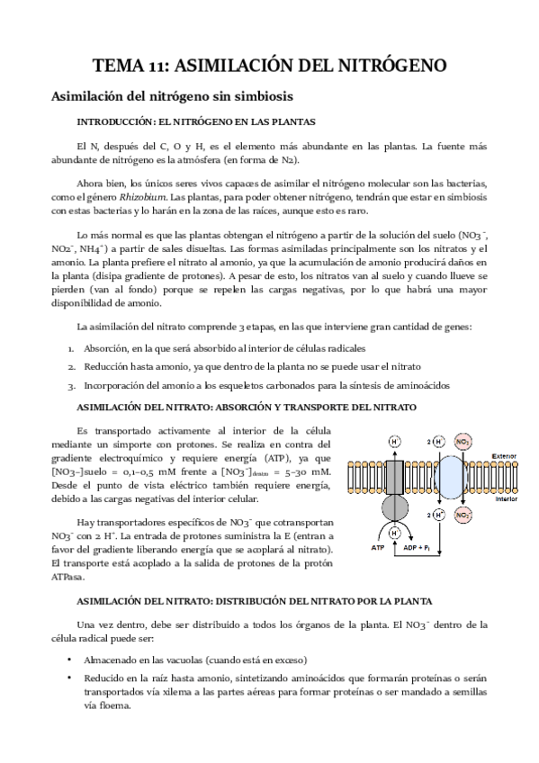 Miniatura del documento TEMA-11.pdf