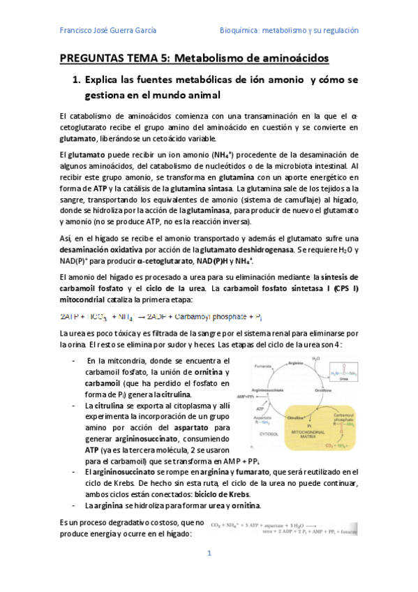 Miniatura del documento Preguntas-Tema-5.pdf
