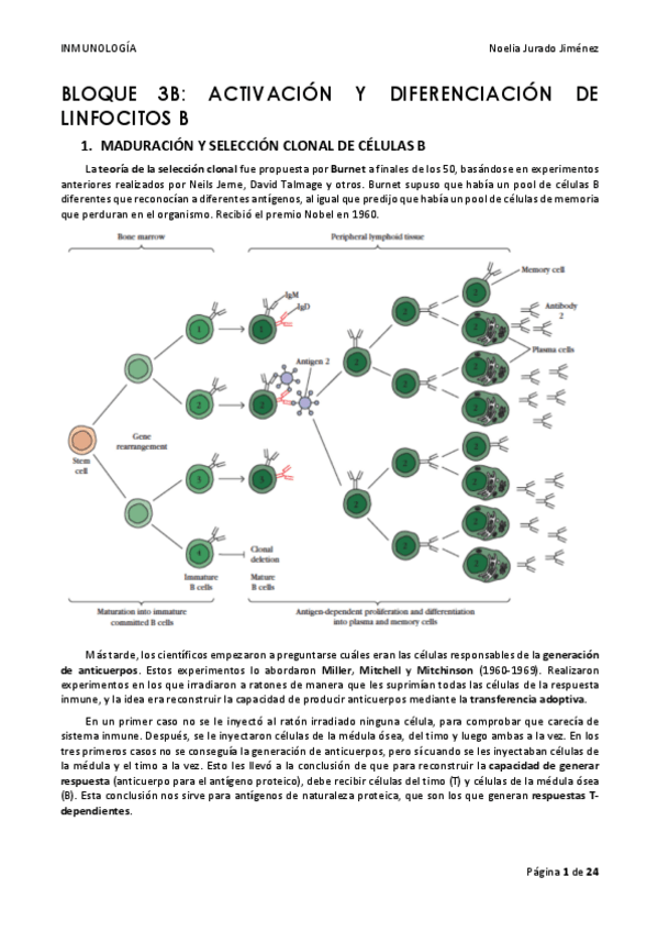 Miniatura del documento BLOQUE-3B.pdf
