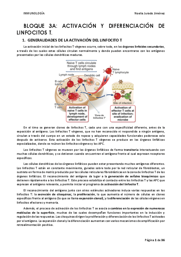 Miniatura del documento BLOQUE-3A.pdf