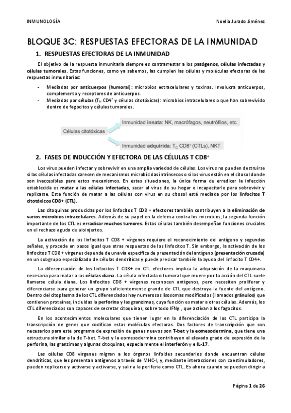 Miniatura del documento BLOQUE-3C.pdf