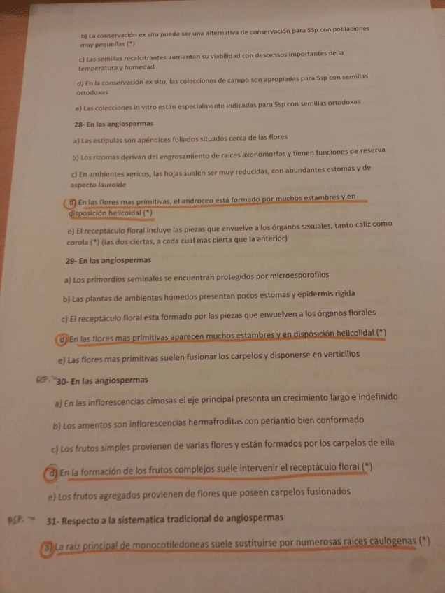 Miniatura del documento 7.jpg