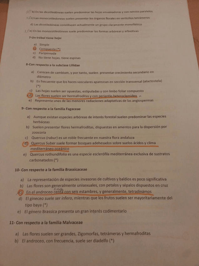 Miniatura del documento 9.jpg