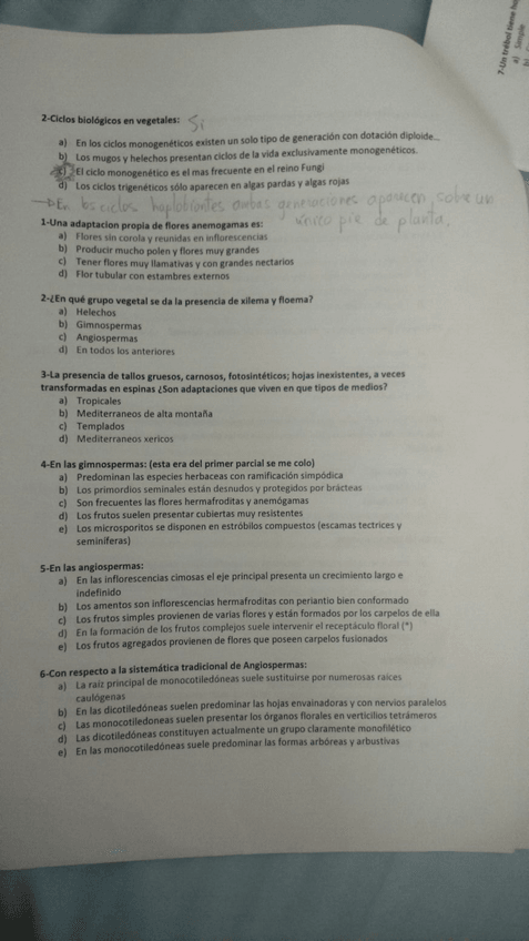 Miniatura del documento 2.jpg