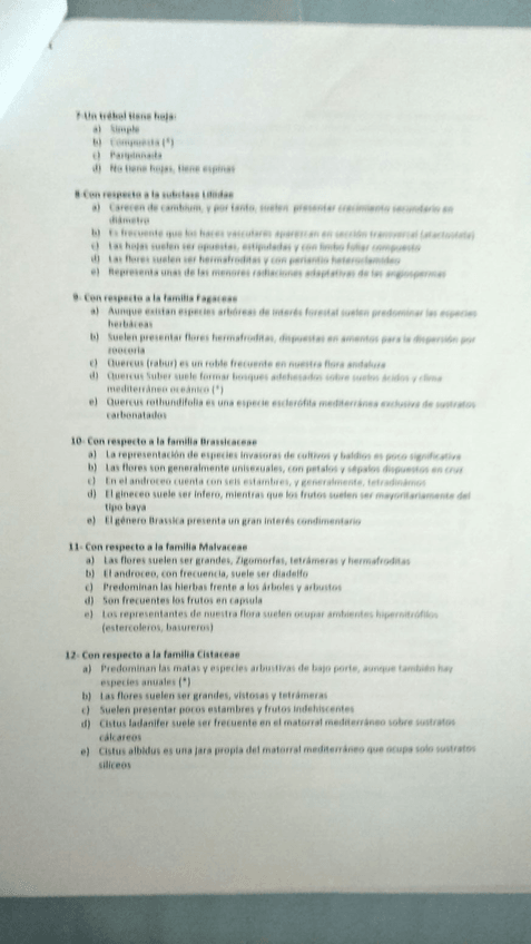 Miniatura del documento 4.jpg