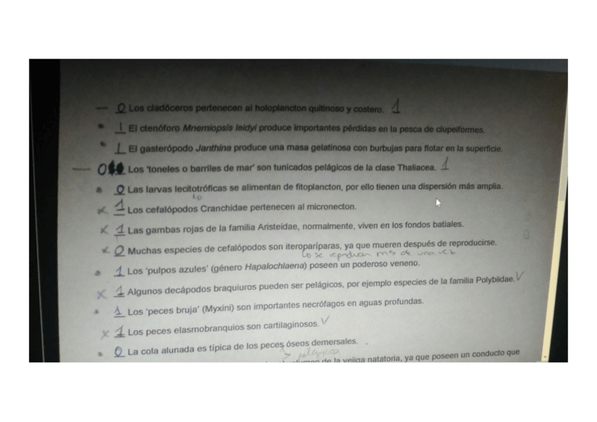 Miniatura del documento EX-1-.pdf