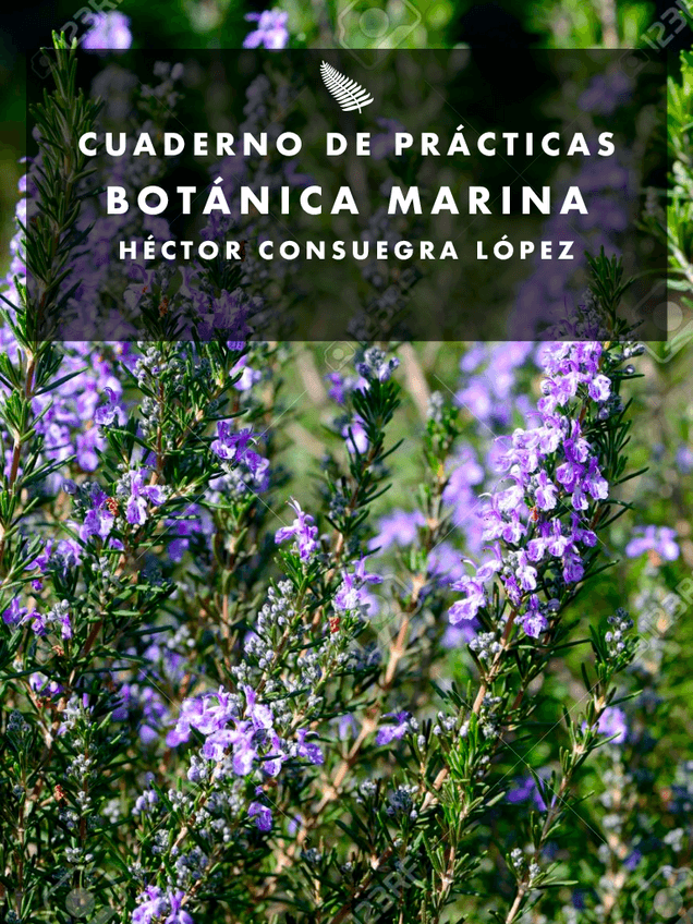 Miniatura del documento LIBRETA-BOTM-.pdf