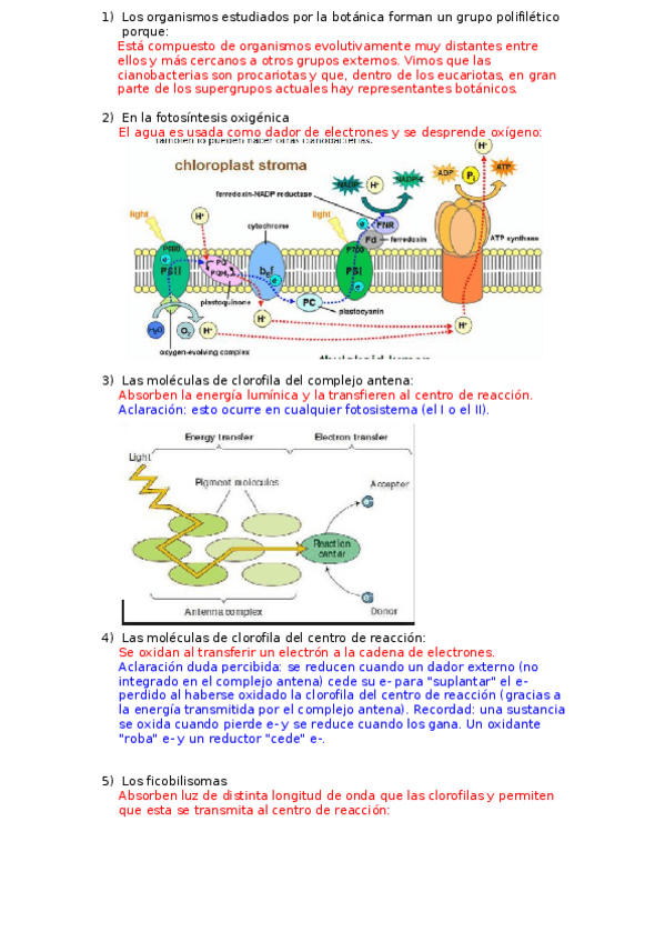 Miniatura del documento 1er-controlFund-bot-07-11-2017correccion.doc