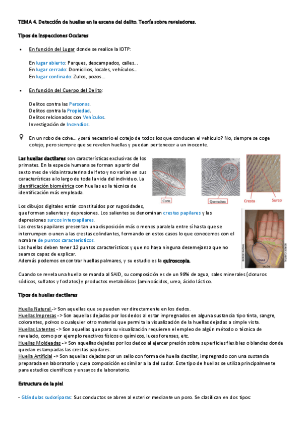 Miniatura del documento 4.pdf