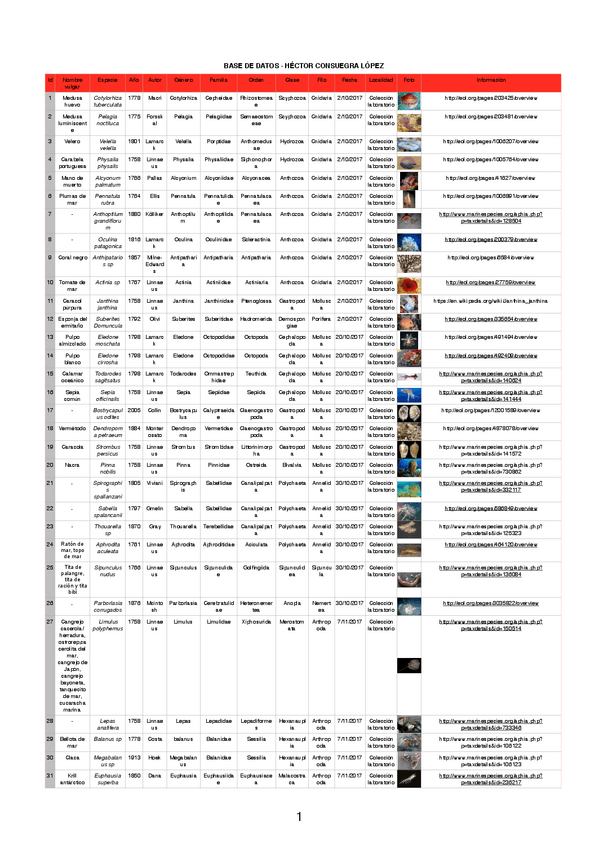 Miniatura del documento PDF.pdf