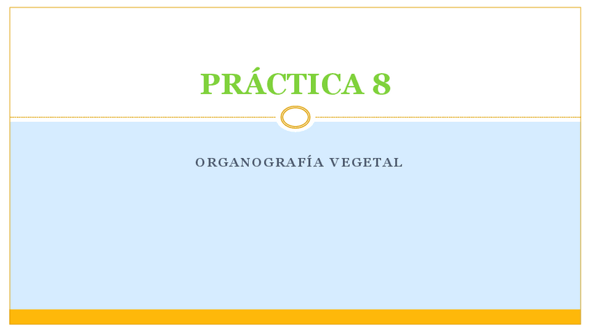 Miniatura del documento PRACTICA-8.pdf